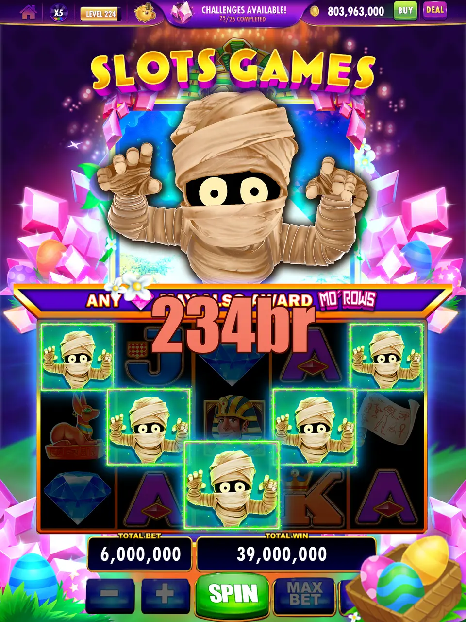 234br Login